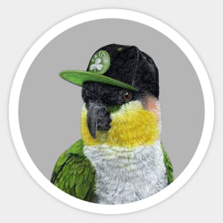 Black-headed parrot Sticker